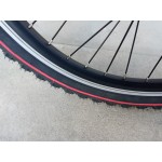 алуминиев МТВ детски велосипед FLU INTERBIKE 20 цола преден амортисьор алуминиев МТВ детски велосипед FLU INTERBIKE 20 цола преден амортисьор